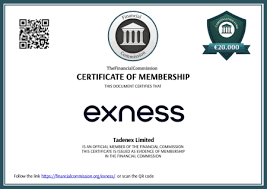 Exploring the Benefits of the Exness MT5 Platform