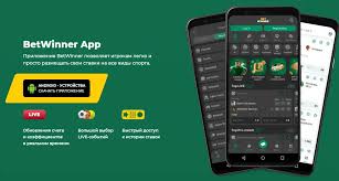 BetWinner Online Casino Your Ultimate Gaming Experience
