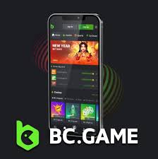 Exploring BC Game A Rising Star of Online Gaming in Nigeria -2100341527