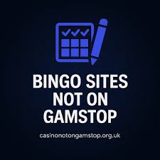 Exploring Online Bingo Not on GamStop
