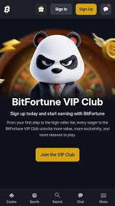 Leading Picks at Bitfortune Casino -1233871621