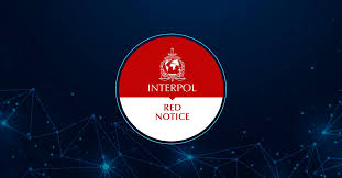 Understanding Interpol Cases The Role of Lawyers 1331602816