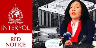 Understanding Interpol Cases The Role of Lawyers 1331602816